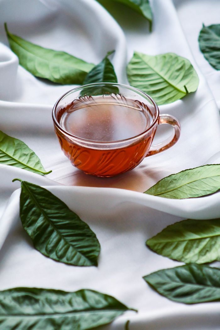 services-04 An artistic composition featuring a glass cup of herbal tea among green leaves on a white fabric.