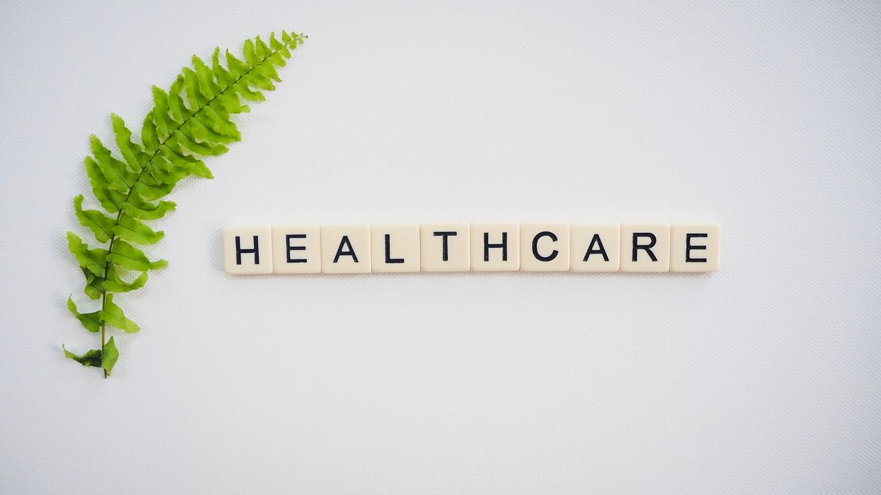 services-02 Healthcare word spelled with Scrabble tiles next to a green fern leaf on a white background.